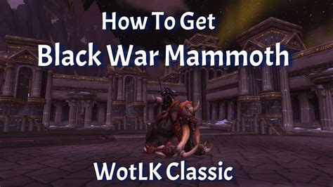 How To Get Black War Mammoth WotLK Classic YouTube