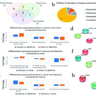 Profile Of Differentially Regulated Proteins Of H Pylori A Venn