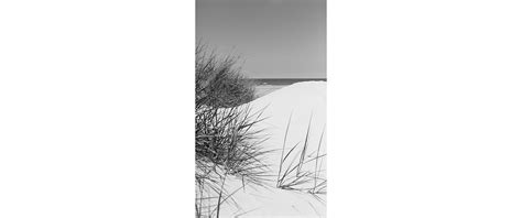 Abbildung D Ne Strand Nordsee