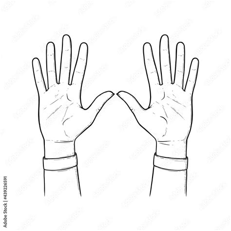 stop sign   hands  stop hand gesture isolated  white