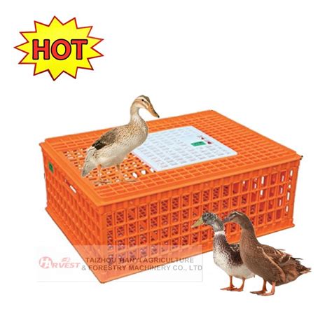 Hot Sale Plastic Live Duck Goose Chicken Pigeon Bird Transport Crate