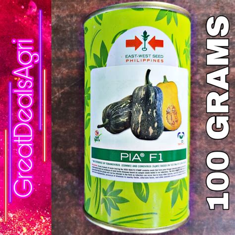 Pia F1 Hybrid Butternut Squash Kalabasa Seeds 100 Grams East West