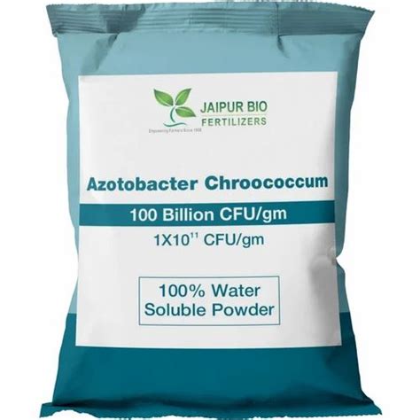 Azotobacter Chroococcum 100 Billion. at ₹ 1000/kg | Microbial ...