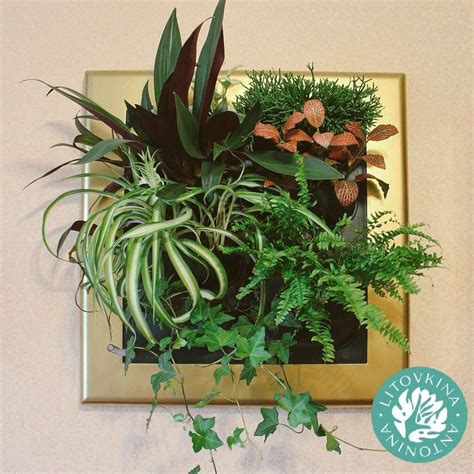 Пин от пользователя ИП Литовкина Антонина Сергеевн на доске ...