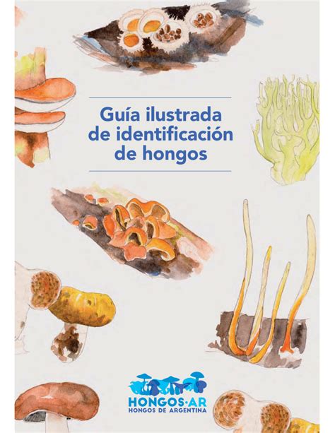 PDF Guía ilustrada de identificación de hongos