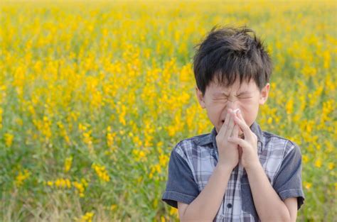 Perché abbiamo le allergie Potrebbe essere una strategia evolutiva