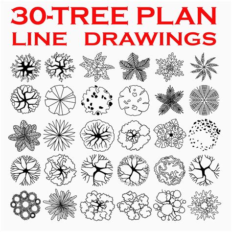 Landscape Tree Plan Line Drawings, Landscape Design Templates, Custom ...