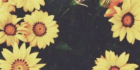 Under dani daniels onlyfans leaks get access Step