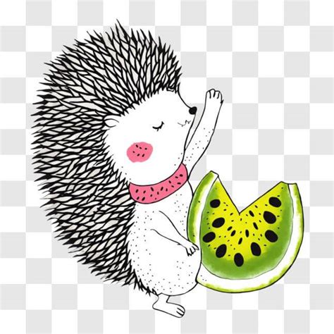 Download Adorable Hedgehog With Watermelon Slice Png Online Creative