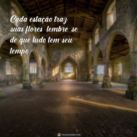 Frases Tudo Tem Seu Tempo - 10