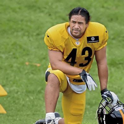 Troy Polamalu- Wiki, Age, Height, Wife, Net Worth (Updated on March 2024)