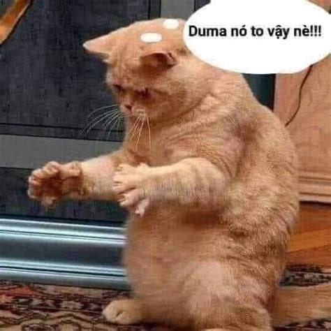 Funland U T Ch I V I G P Tr Ng I V Sex Page Otofun