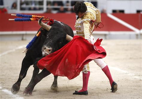 origem da cultura espanhola fdplearn