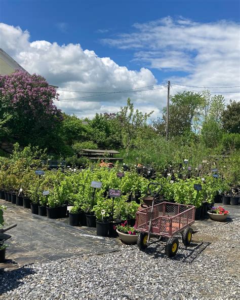 West Farm | Jeffersonville VT