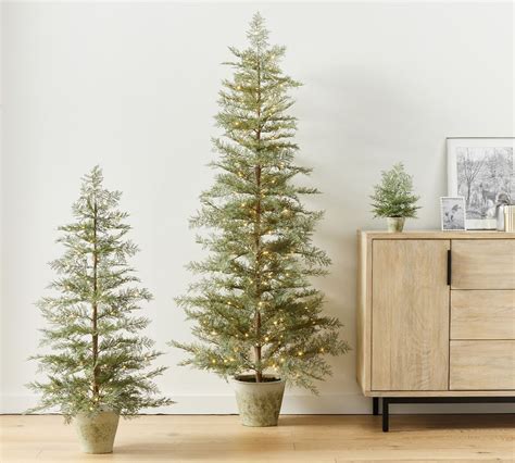 Pre Lit Faux Potted Cedar Trees Pottery Barn