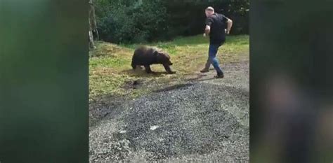 VIDEO Turist polonez atacat de un urs pe Transfăgărășan când voia să