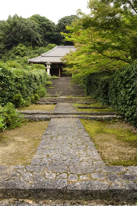 静寂に包まれた佐保路の尼寺 興福院特別拝観｜興福院｜奈良市｜奈良エリア｜秘宝・秘仏 特別開帳｜祈りの回廊 奈良県 秘宝・秘仏特別開帳