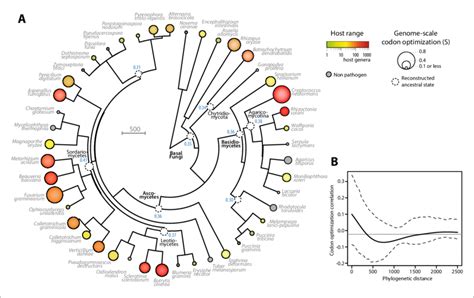 Codon Optimization And Host Range Co Evolved Multiple Times Across