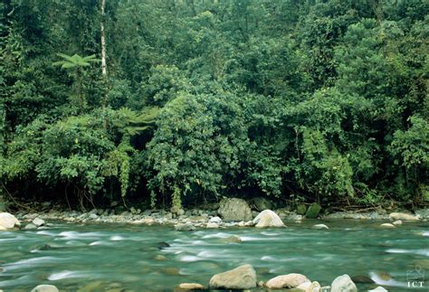 Costa Rica Rainforests