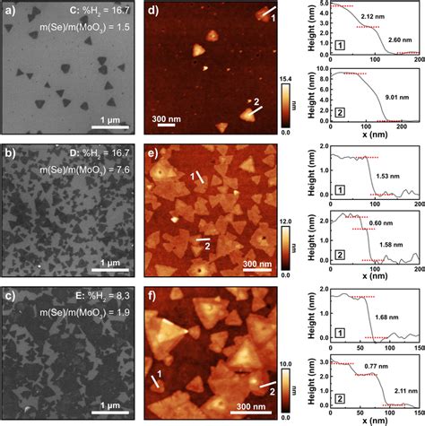 Scanning electron micrographs (a–c) of samples C, D and E ...