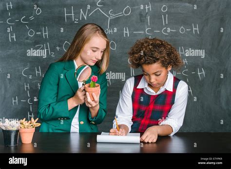 girls    classroom stock photo alamy
