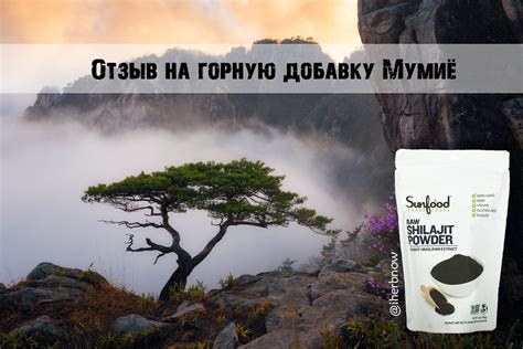 Что такое добавка мумиё - полезные свойства и инструкция