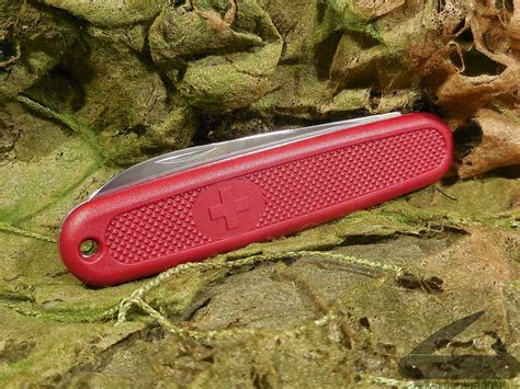 Victorinox Solo – po prostu nóż | szwajcarskiscyzoryk.pl