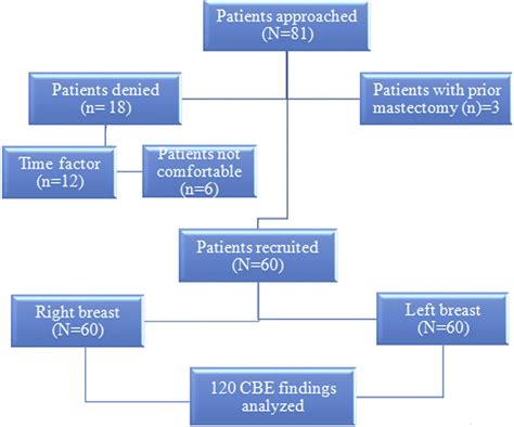 dial   clock search pattern  clinical breast examination