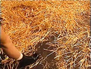 Retro Usa 096 90s American Threesome Porn XHamster