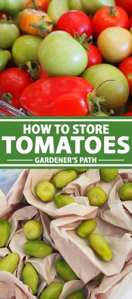 How To Store Tomatoes From The Garden Artofit