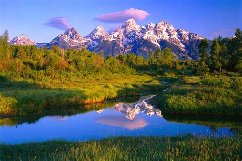 Tripadvisor Grand Teton National Park Tour From Jackson Hole Provided