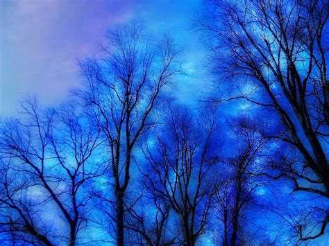 Imagine a world of Blue (9 pics) | Creative Photography