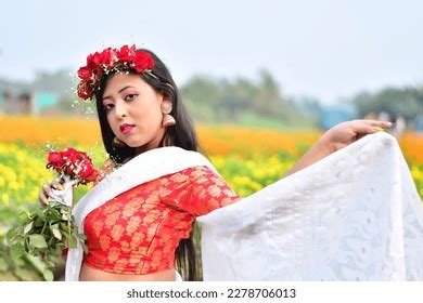 Beautiful Hot Sexy Indian Model Saree Stock Photo 2278706013 Shutterstock
