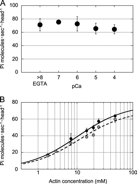 Effects of Ca 2 on ATPase activity of myosin XI. A, actin-activated ...