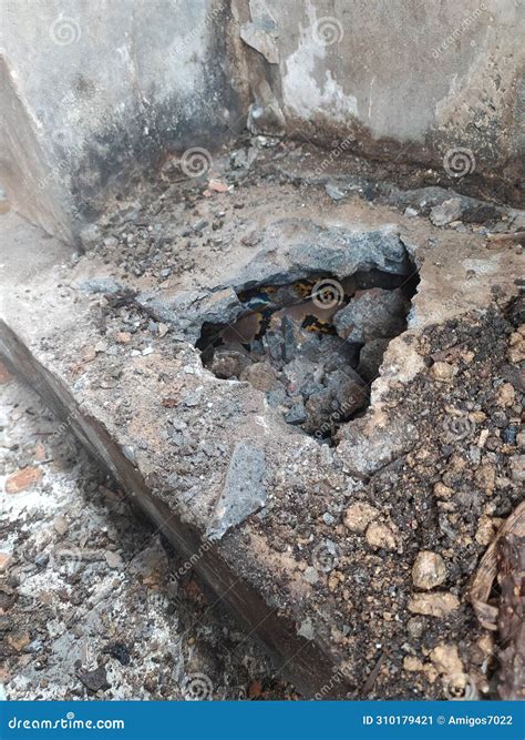 Snake: My Hiding Place is Revealed Stock Image - Image of hiding, place