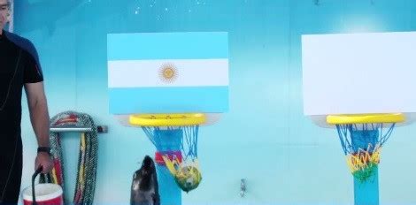 Show của nữ MC Việt diện bikini dự đoán Brazil thắng tối nay