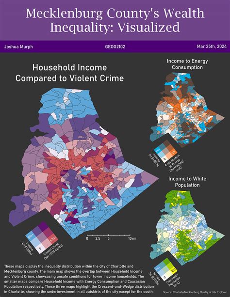Mecklenburg County's Wealth Inequality: Visualized :: Behance