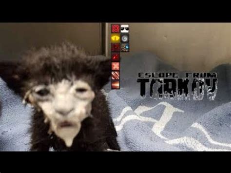БАНДЕРОЛЬ!1!!1! - YouTube