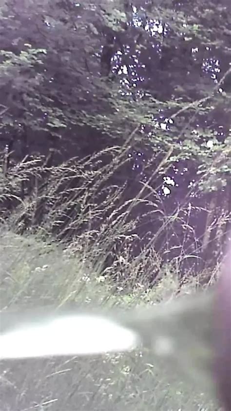 Big Cock Outdoors Pisses Gay Voyeur Voyeur Porn Feat PinkRinho XHamster