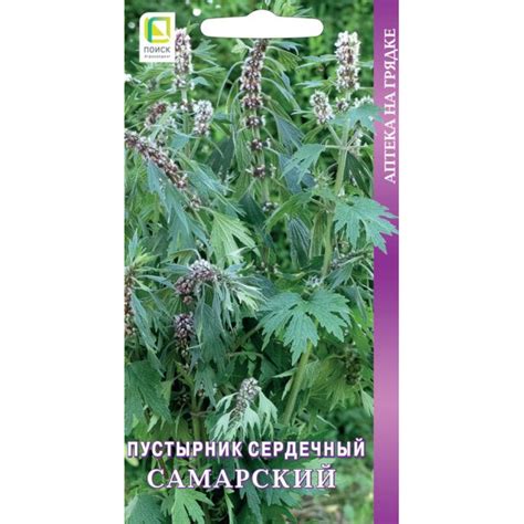 Семена Пустырник сердечный Самарский 0,1, Поиск купить в Москве по ...