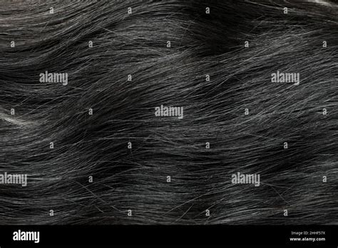 Brunette Hairy Hi Res Stock Photography And Images Alamy