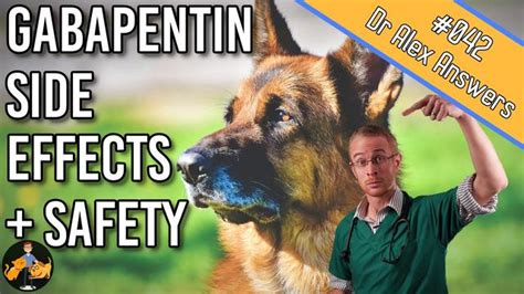 Effective Methods to Wean Your Dog Off Gabapentin