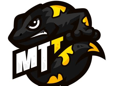 Skills Cam Model Free Live Sex Show Chat Stripchat