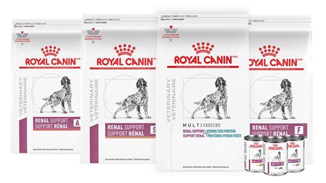 Dog food for Renal Support | Royal Canin US