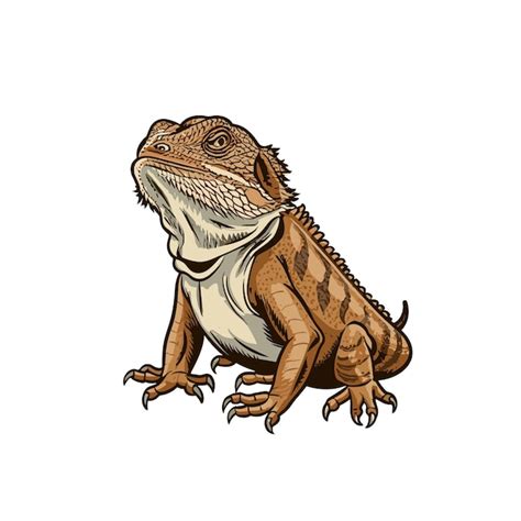 Premium Vector | Bearded dragon vintage vector illustration