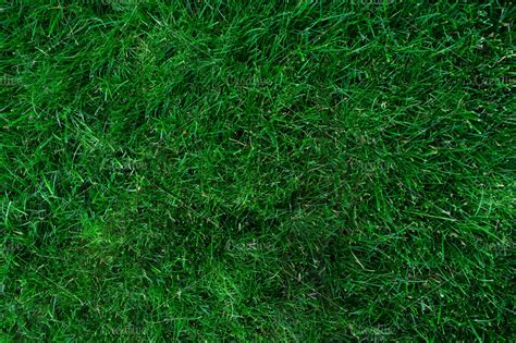 soft grass  grass background  lawn abstract stock