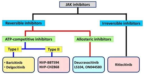 Janus Kinase (JAK) and JAK Inhibitors - BOC Sciences