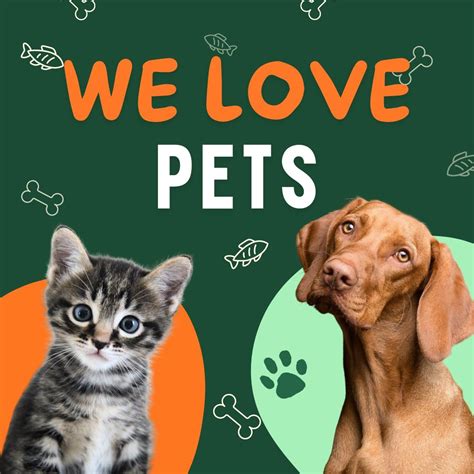 Artful Expressions Kids Camp We Love Pets Playing Picasso Lansing