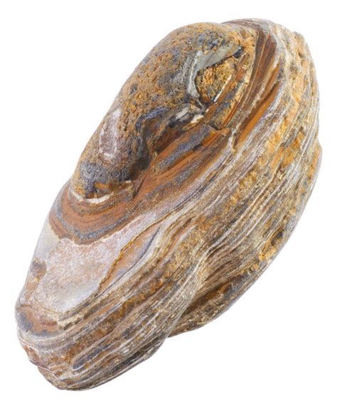 Sardonyx Stock Image Image Of Nature Agate Sardonyx 70354199