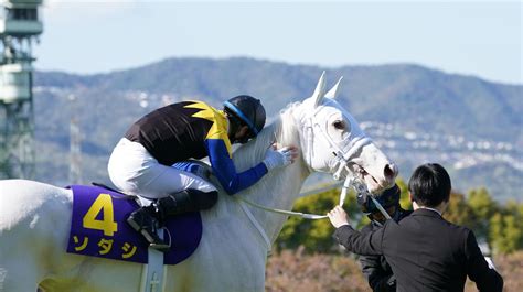 桜花賞を制したソダシとねぎらう吉田隼人騎手｜白毛馬初のクラシック制覇！ソダ 写真916｜sanspocom（サンスポ）